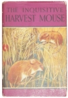 Image of The Inquisitive Harvest Mouse by Noel Barr, click for further details ...
